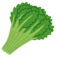 vegetable_syungiku.png