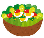 free-illustration-salad-irasutoya.jpg