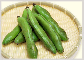 y-soramame.jpg